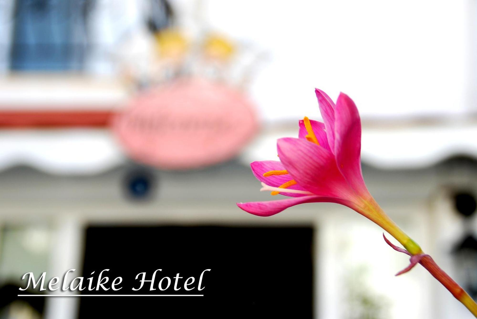 Melaike Hotel Фоча Экстерьер фото